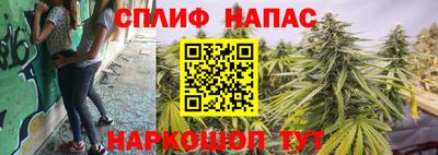 ПСИЛОЦИБИНОВЫЕ ГРИБЫ Северобайкальск