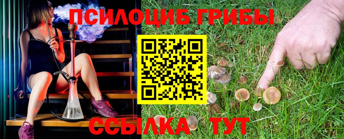 Саяногорск  Галлюциногенные грибы Cubensis  Вход с VPN 